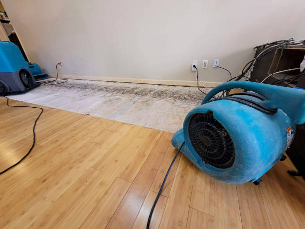 Professional Flood Damage Cleanup technician working in Kyles Ford, TN